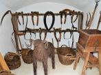 Drazicky-2025-345.JPG