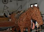 Drazicky-2025-311.JPG