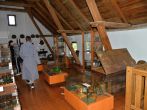 Drazicky-2025-328.JPG